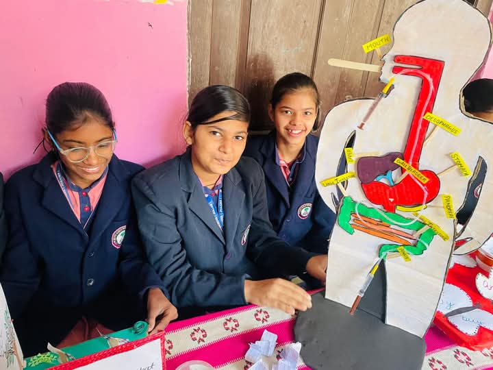 Tirang International School